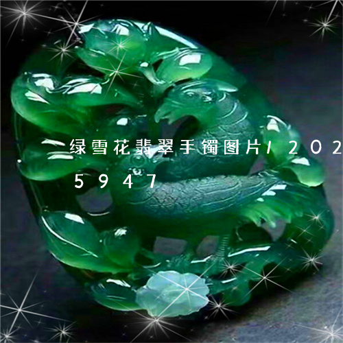 绿雪花翡翠手镯图片/2023102575947