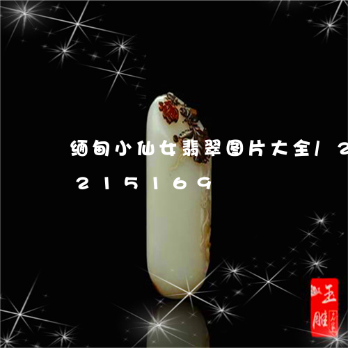 缅甸小仙女翡翠图片大全/2023110215169