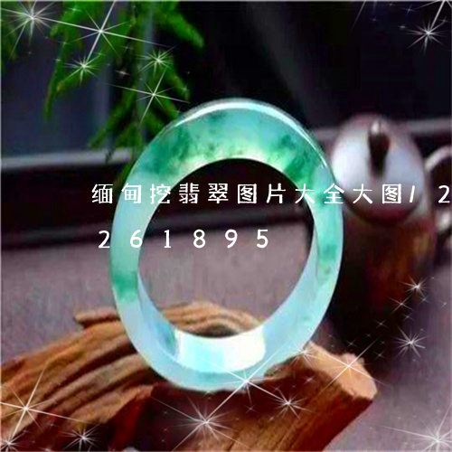 缅甸挖翡翠图片大全大图/2023110261895