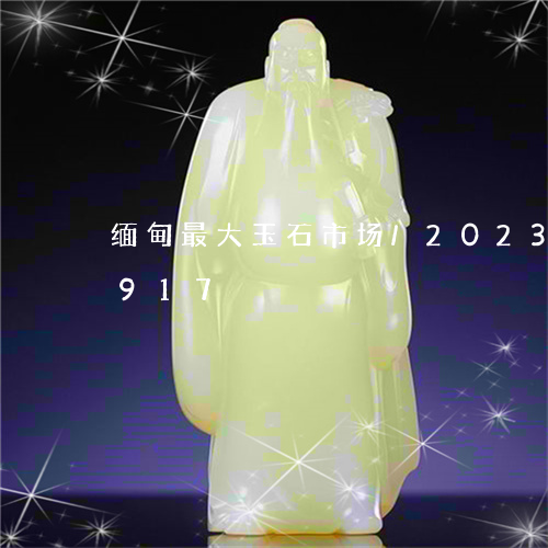 缅甸最大玉石市场/2023120792917