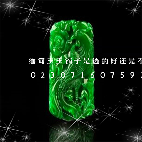 缅甸玉玉镯子是透的好还是不透的好呢/2023071607591