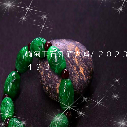 缅甸玉石升值大吗/2023120746493