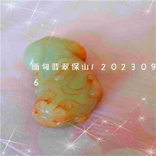 缅甸翡翠保山/2023092583036