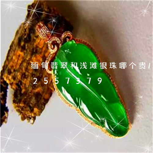 缅甸翡翠和浅滩银珠哪个贵/2023112557379