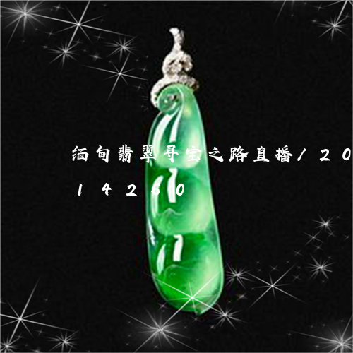 缅甸翡翠寻宝之路直播/2023092814260