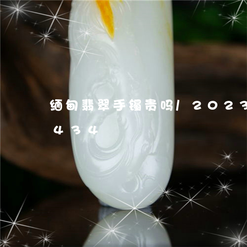 缅甸翡翠手镯贵吗/2023041631434