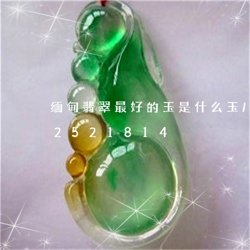 缅甸翡翠最好的玉是什么玉/2023112521814