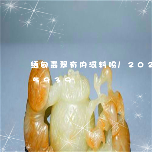 缅甸翡翠有内河料吗/2023102645939