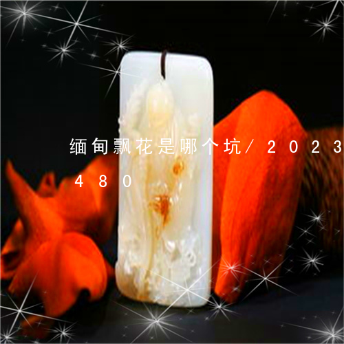 缅甸飘花是哪个坑/2023120589480