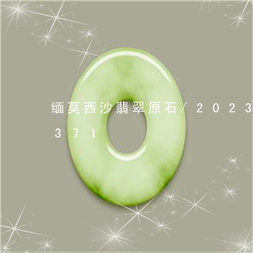 缅莫西沙翡翠原石/2023120588371