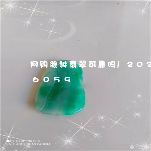 网购貔貅翡翠可靠吗/2023102556059