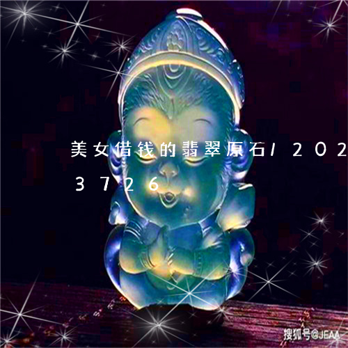 美女借钱的翡翠原石/2023102403726