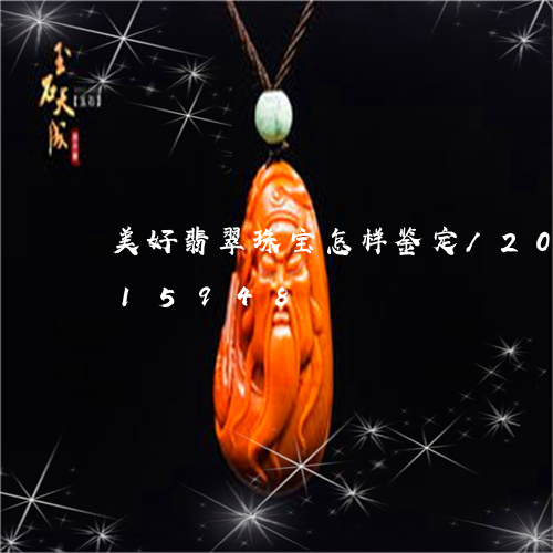 美好翡翠珠宝怎样鉴定/2023092815948