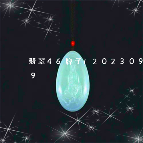 翡翠46牌子/2023092595039