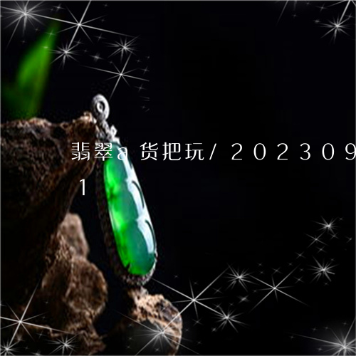 翡翠a货把玩/2023092539471