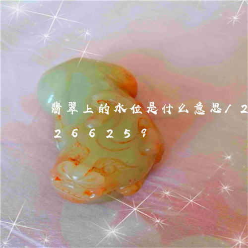 翡翠上的水位是什么意思/2023110266259