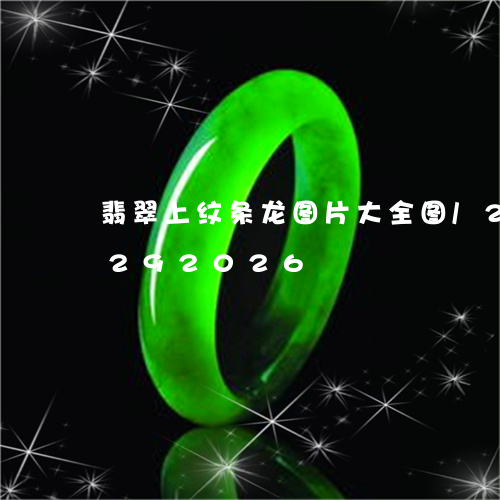 翡翠上纹条龙图片大全图/2023110292026