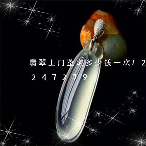 翡翠上门鉴定多少钱一次/2023110247279