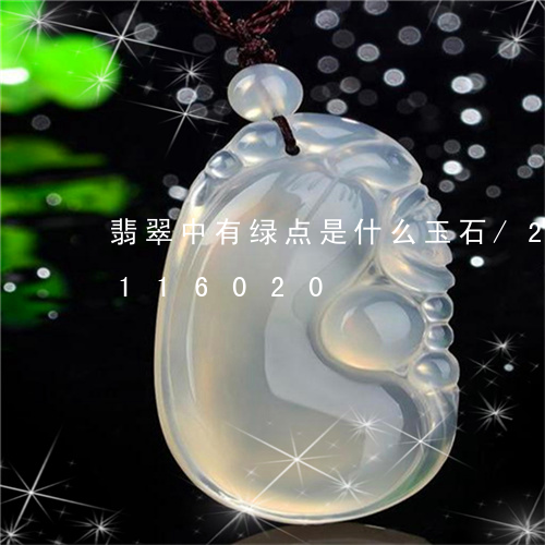 翡翠中有绿点是什么玉石/2023103116020