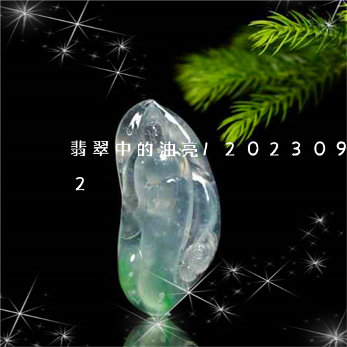 翡翠中的油亮/2023092451502