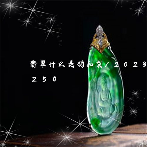 翡翠什么是棉和裂/2023122796250