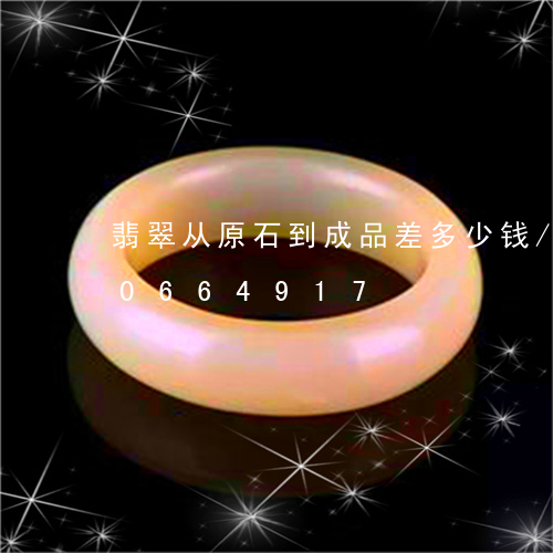 翡翠从原石到成品差多少钱/2023110664917