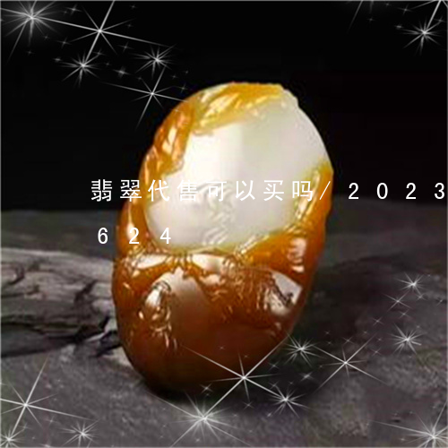 翡翠代售可以买吗/2023041742624