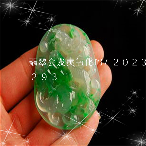 翡翠会发黄氧化吗/2023102478293