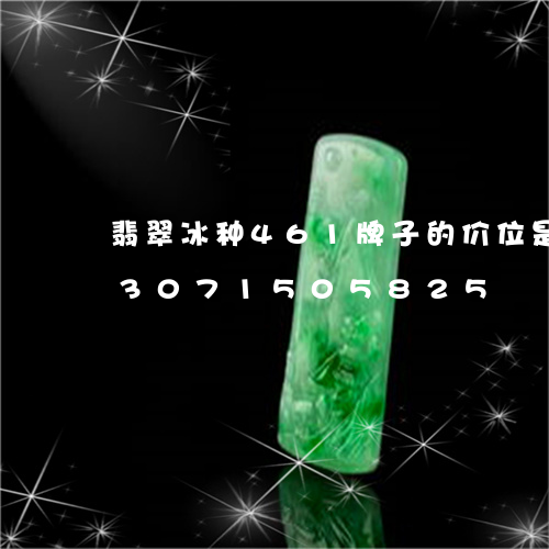 翡翠冰种461牌子的价位是多少/2023071505825