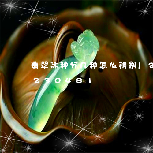 翡翠冰种分几种怎么辨别/2023110230481