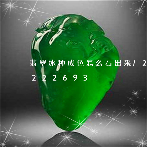 翡翠冰种成色怎么看出来/2023110222693