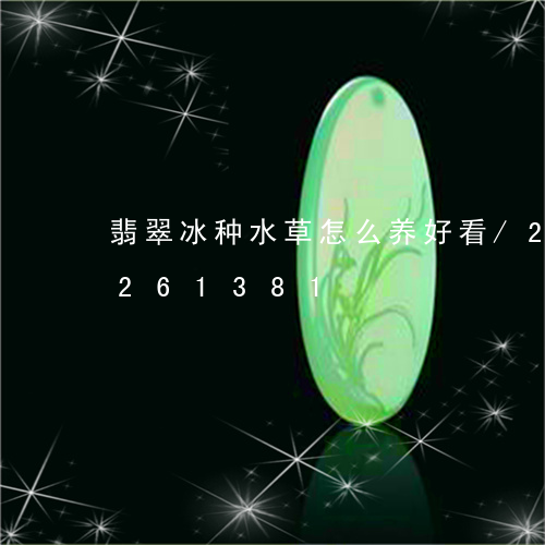 翡翠冰种水草怎么养好看/2023110261381