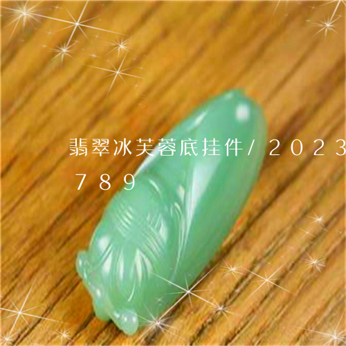 翡翠冰芙蓉底挂件/2023041828789