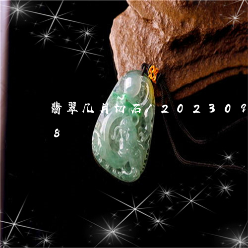 翡翠几月切石/2023092567128