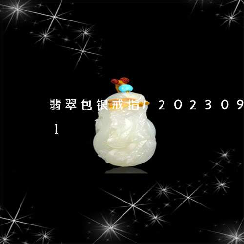 翡翠包银戒指/2023092519471