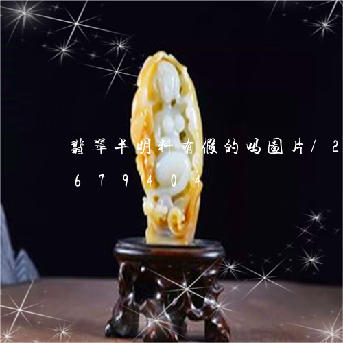 翡翠半明料有假的吗图片/2023111679404