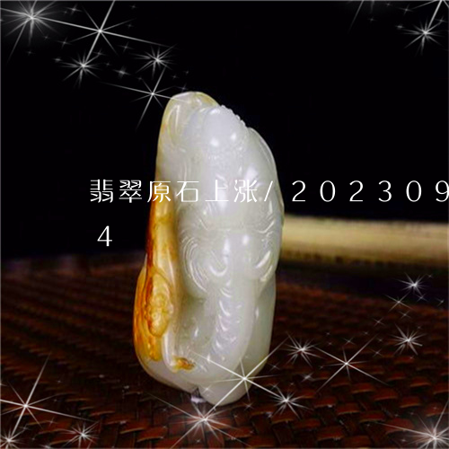 翡翠原石上涨/2023092562604