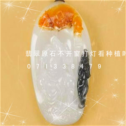 翡翠原石不开窗打灯看种植时间/2023071338479