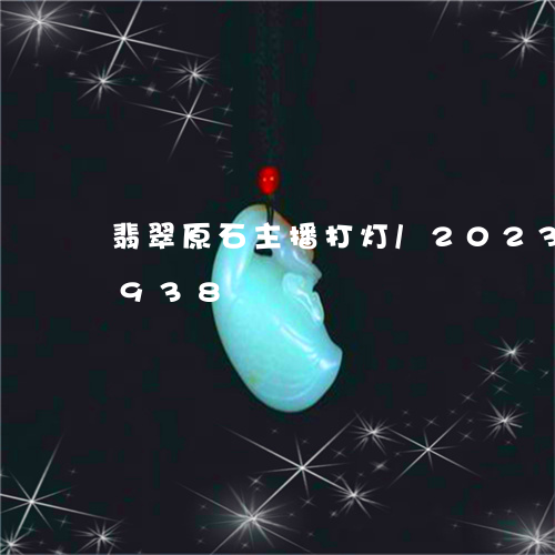 翡翠原石主播打灯/2023120673938