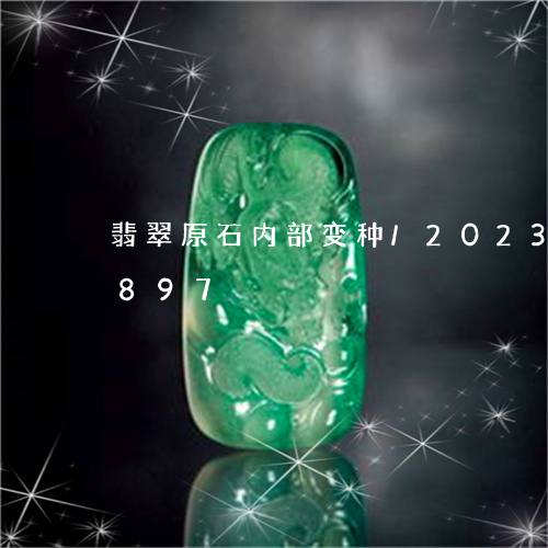 翡翠原石内部变种/2023120661897