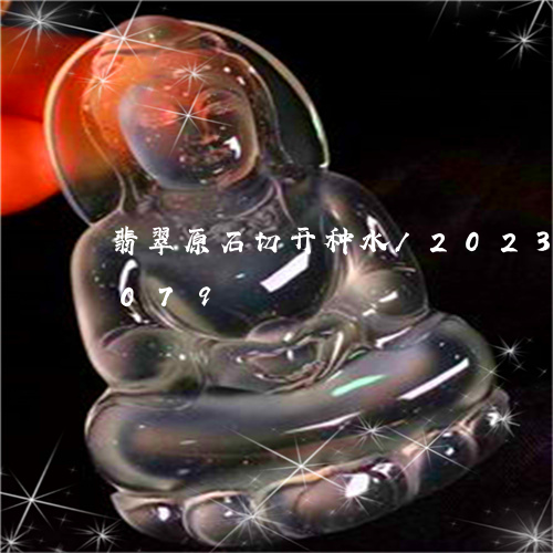 翡翠原石切开种水/2023120746079