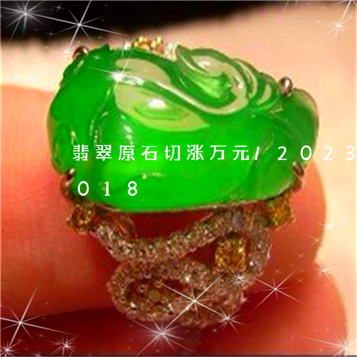 翡翠原石切涨万元/2023041636018