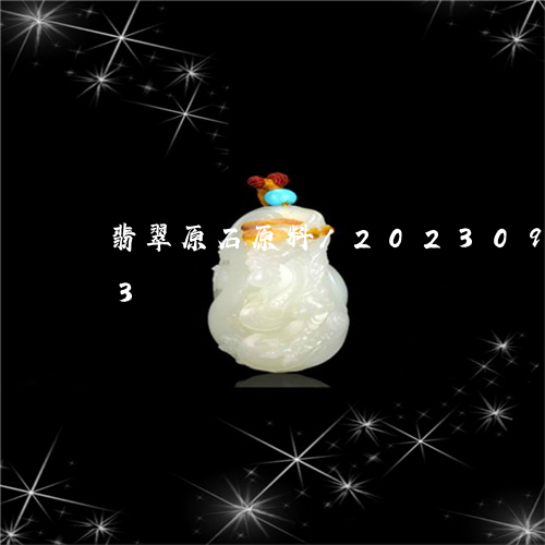 翡翠原石原料/2023092571603