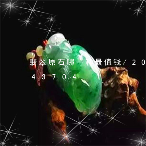 翡翠原石哪一种最值钱/2023120643704