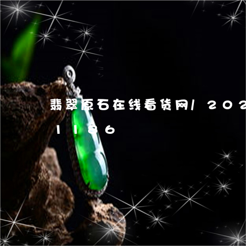 翡翠原石在线看货网/2023120521186