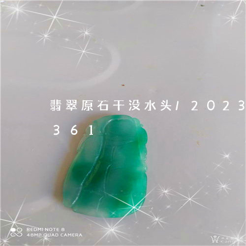 翡翠原石干没水头/2023120608361