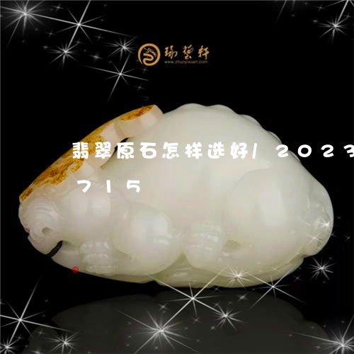 翡翠原石怎样选好/2023120502715