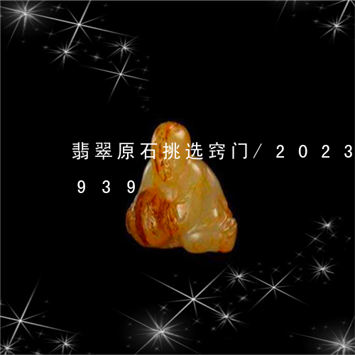 翡翠原石挑选窍门/2023120566939