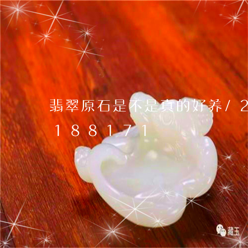 翡翠原石是不是真的好养/2023110188171