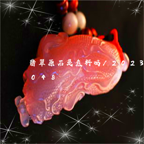 翡翠原石是危料吗/2023120518048